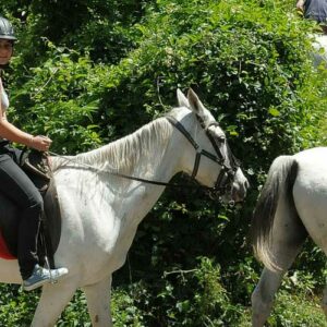 Excursiones a caballo de 1 hora