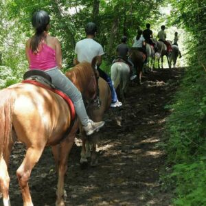Excursiones a caballo de 2 horas