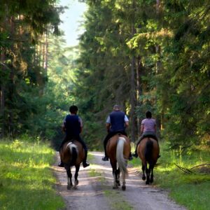 Excursión a caballo y butifarrada